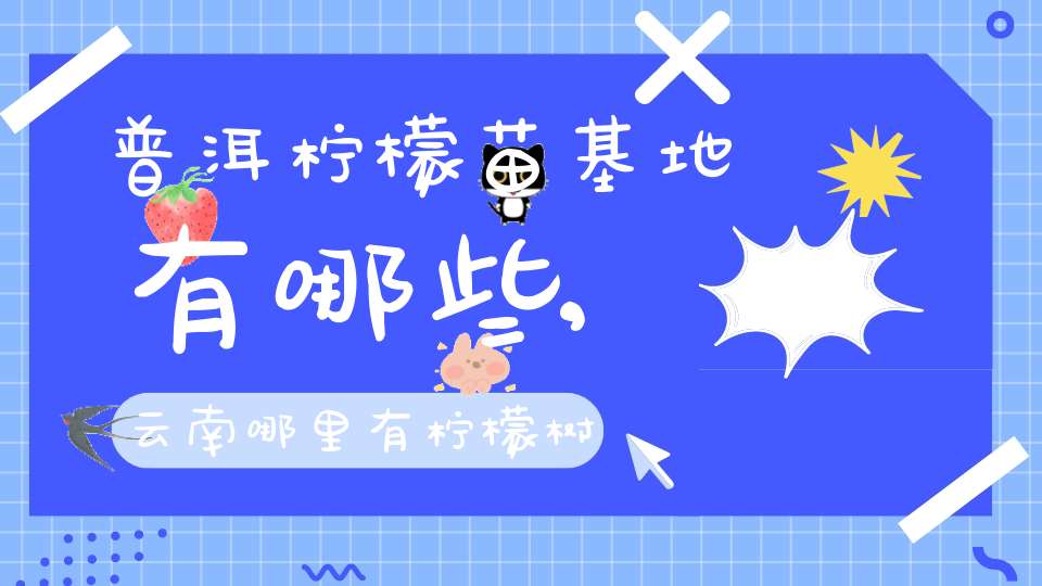 普洱柠檬苗基地有哪些,云南哪里有柠檬树苗卖
