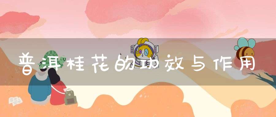 普洱桂花的功效与作用