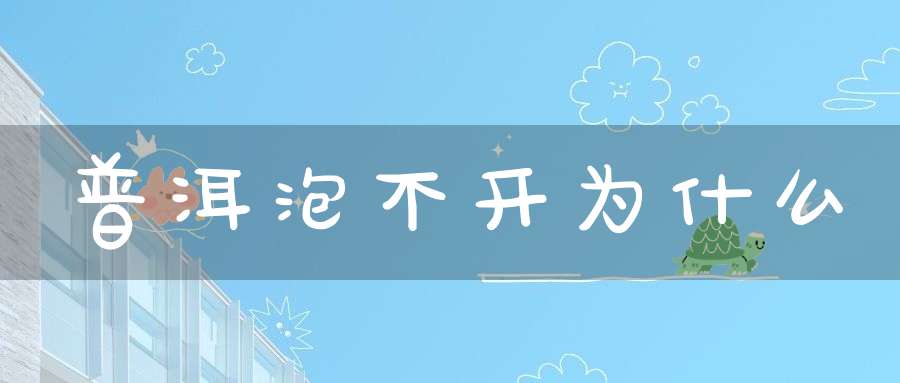普洱泡不开为什么