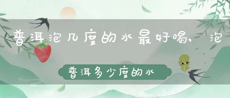普洱泡几度的水最好喝,泡普洱多少度的水