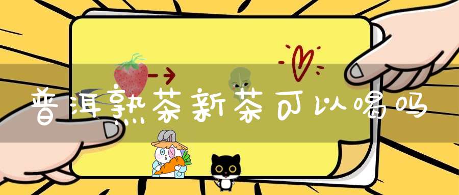 普洱熟茶新茶可以喝吗
