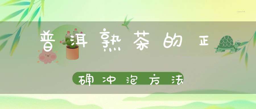 普洱熟茶的正确冲泡方法