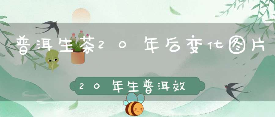 普洱生茶20年后变化图片20年生普洱效果