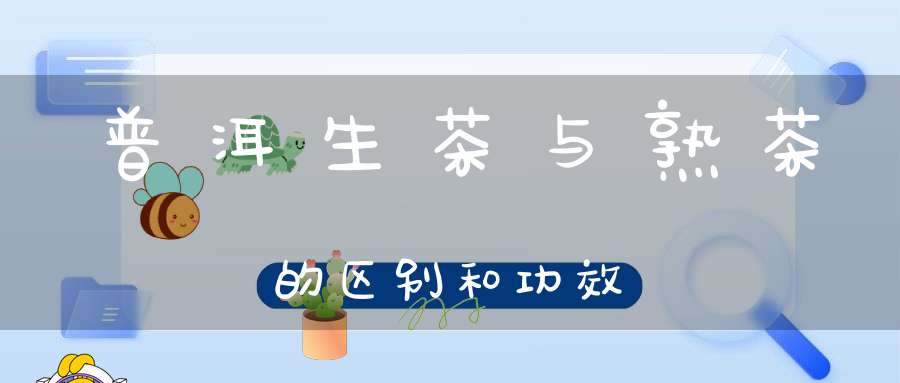 普洱生茶与熟茶的区别和功效