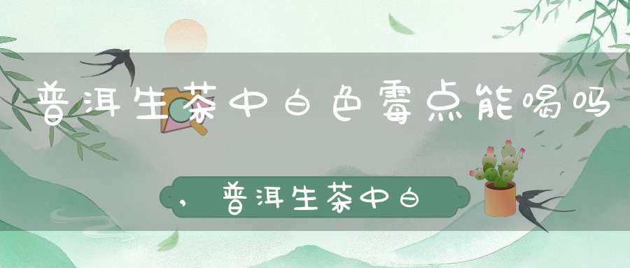 普洱生茶中白色霉点能喝吗,普洱生茶中白色霉点可以喝吗