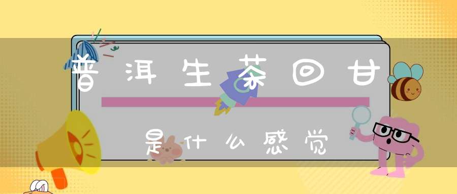 普洱生茶回甘是什么感觉