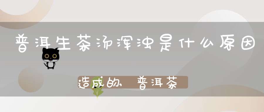 普洱生茶汤浑浊是什么原因造成的,普洱茶汤浑浊是什么原因造成的