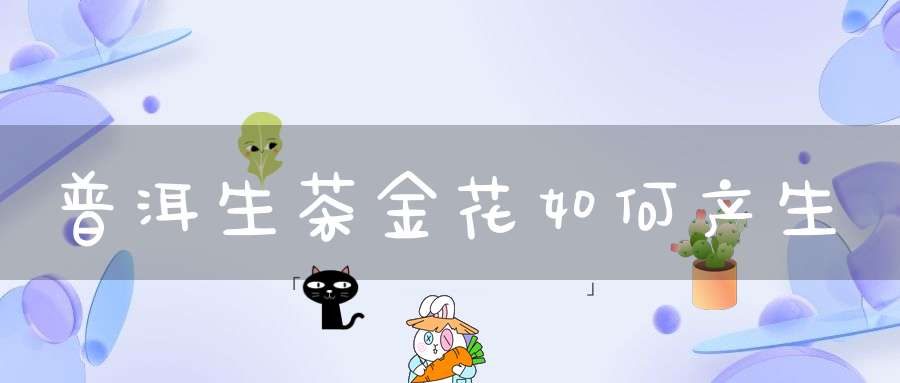普洱生茶金花如何产生