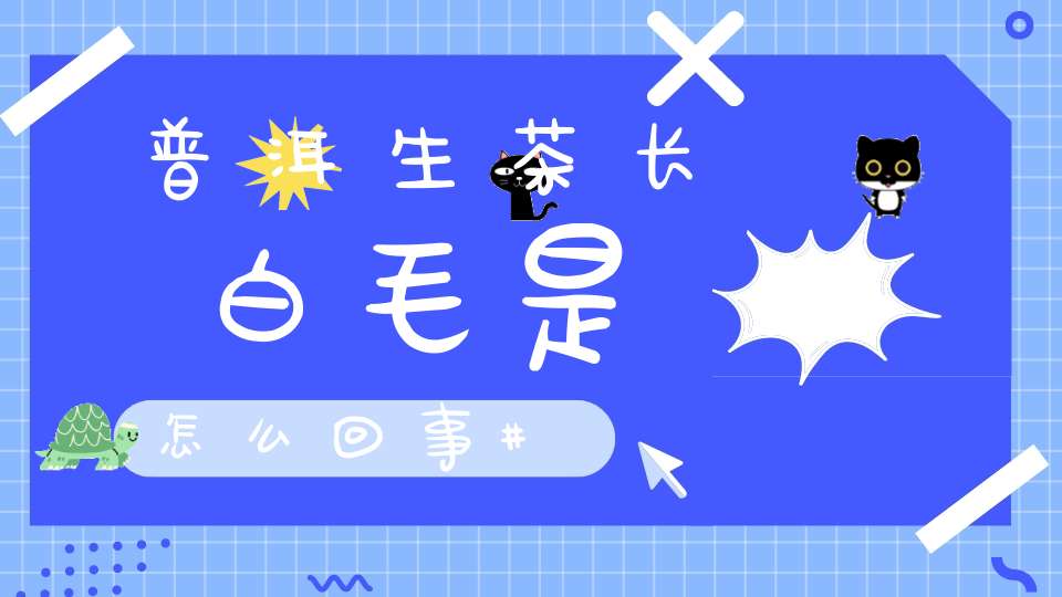 普洱生茶长白毛是怎么回事