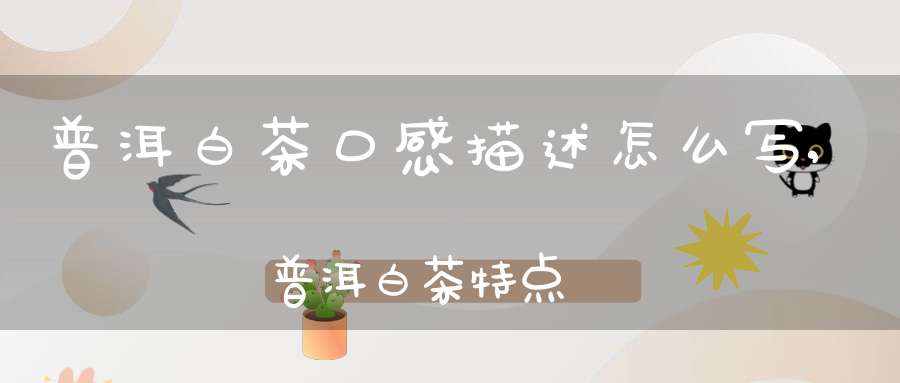 普洱白茶口感描述怎么写,普洱白茶特点