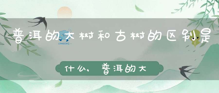 普洱的大树和古树的区别是什么,普洱的大树和古树的区别在哪里