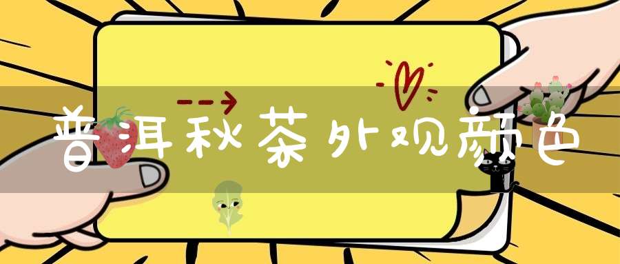 普洱秋茶外观颜色