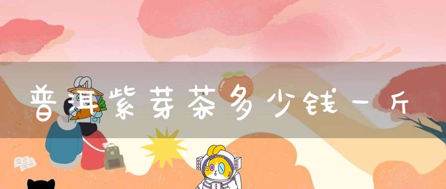 普洱紫芽茶多少钱一斤