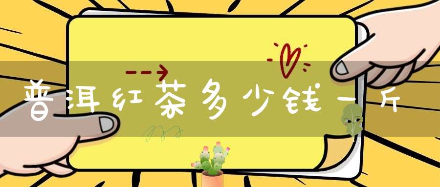 普洱红茶多少钱一斤