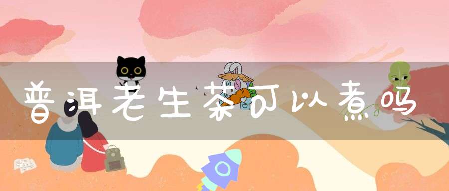 普洱老生茶可以煮吗