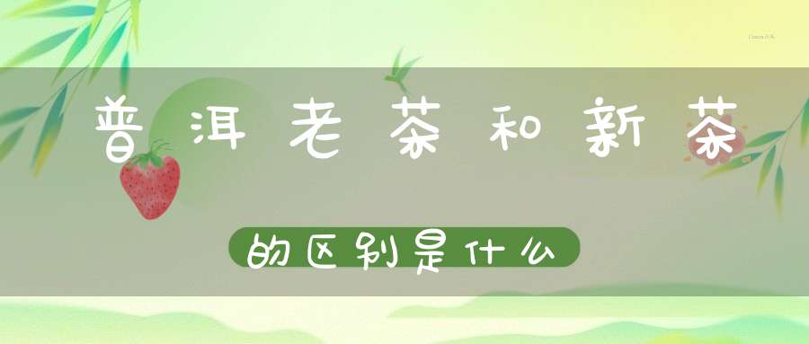 普洱老茶和新茶的区别是什么