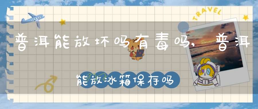 普洱能放坏吗有毒吗,普洱能放冰箱保存吗