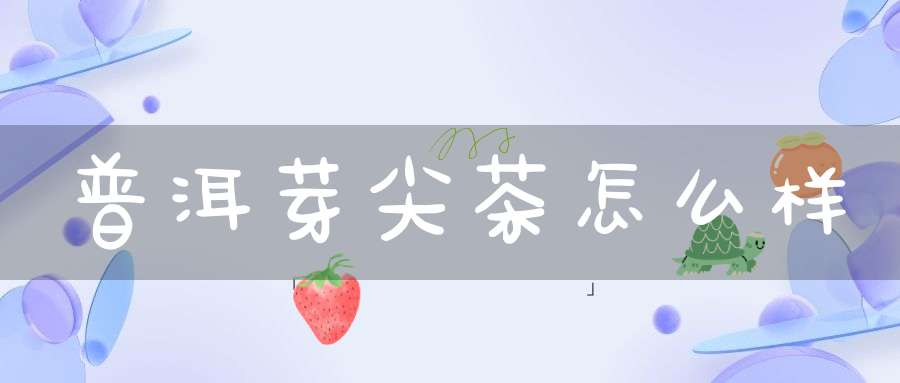 普洱芽尖茶怎么样