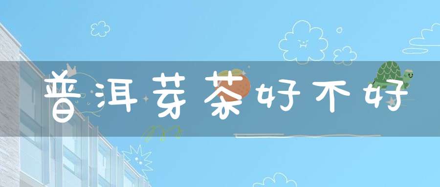 普洱芽茶好不好