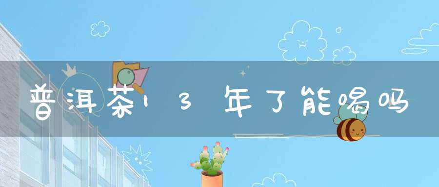 普洱茶13年了能喝吗