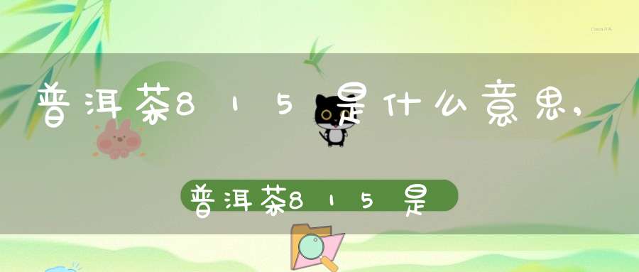普洱茶815是什么意思,普洱茶815是什么茶