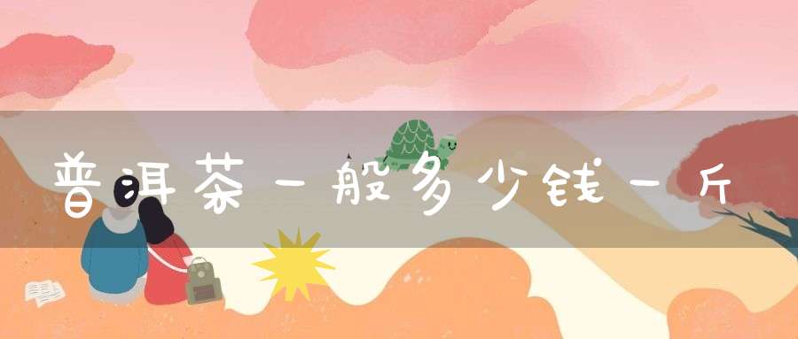 普洱茶一般多少钱一斤