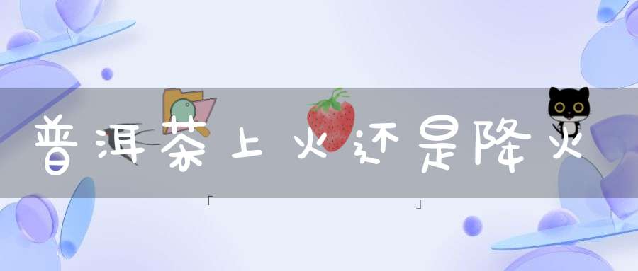 普洱茶上火还是降火