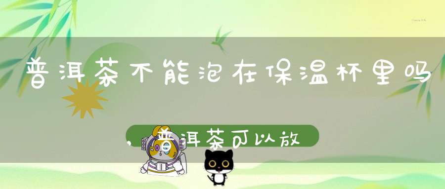 普洱茶不能泡在保温杯里吗,普洱茶可以放在杯子里泡吗