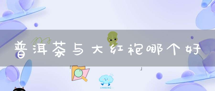 普洱茶与大红袍哪个好