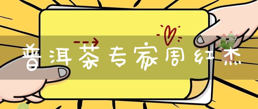 普洱茶专家周红杰
