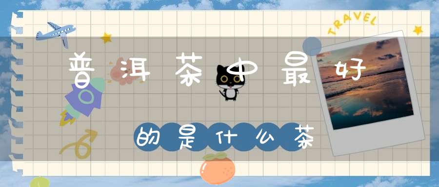 普洱茶中最好的是什么茶