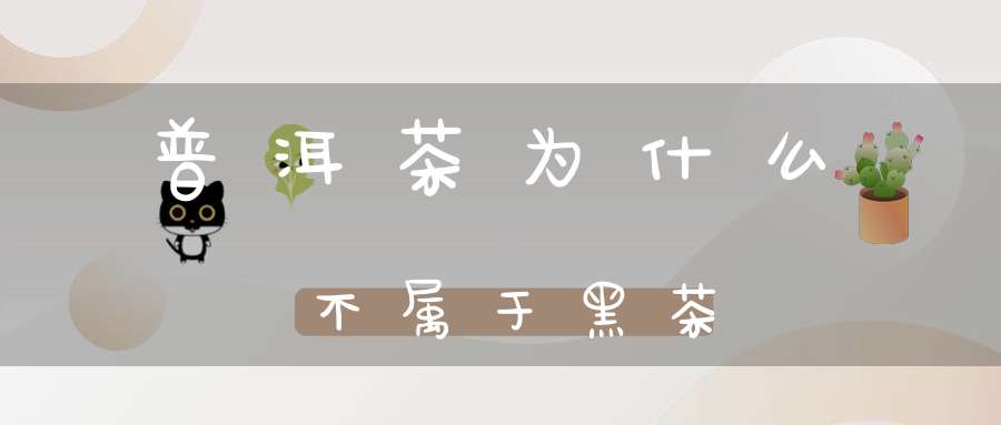 普洱茶为什么不属于黑茶