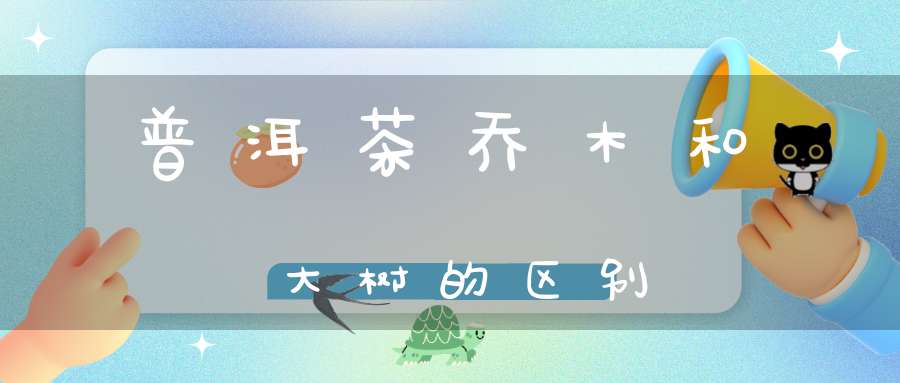 普洱茶乔木和大树的区别