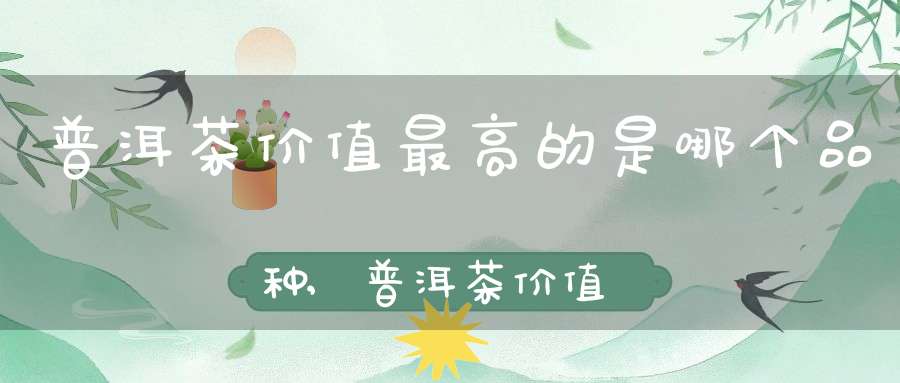 普洱茶价值最高的是哪个品种,普洱茶价值最高的是什么茶