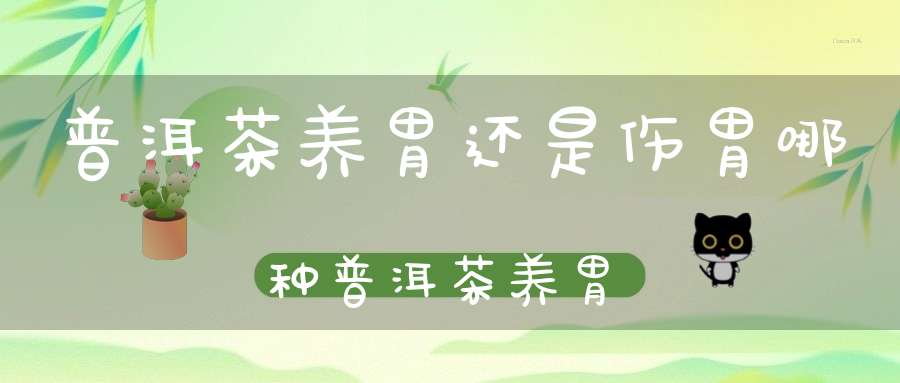 普洱茶养胃还是伤胃哪种普洱茶养胃