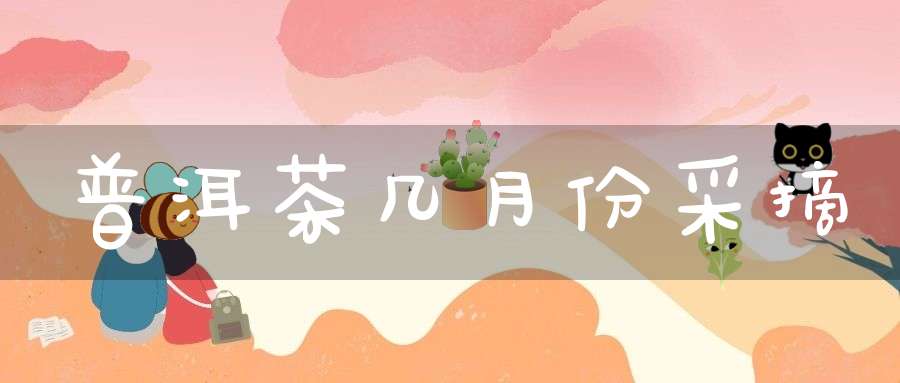 普洱茶几月份采摘