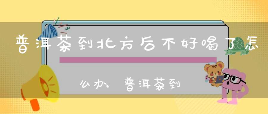 普洱茶到北方后不好喝了怎么办,普洱茶到北方后不好喝了吗