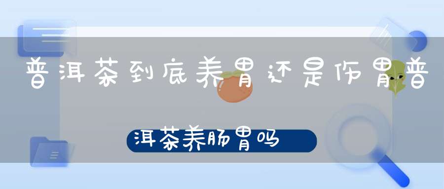 普洱茶到底养胃还是伤胃普洱茶养肠胃吗