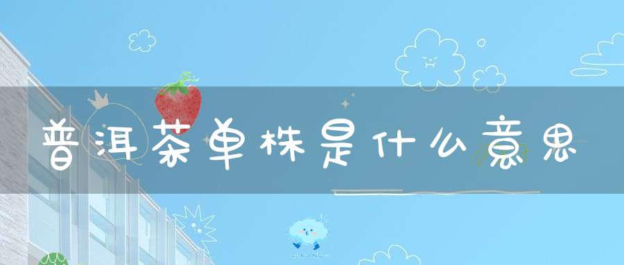普洱茶单株是什么意思