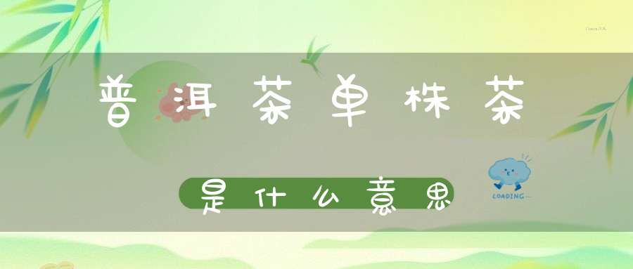 普洱茶单株茶是什么意思