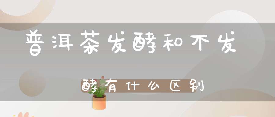 普洱茶发酵和不发酵有什么区别