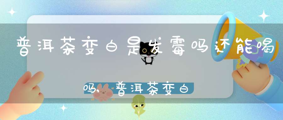普洱茶变白是发霉吗还能喝吗,普洱茶变白是发霉吗能喝吗