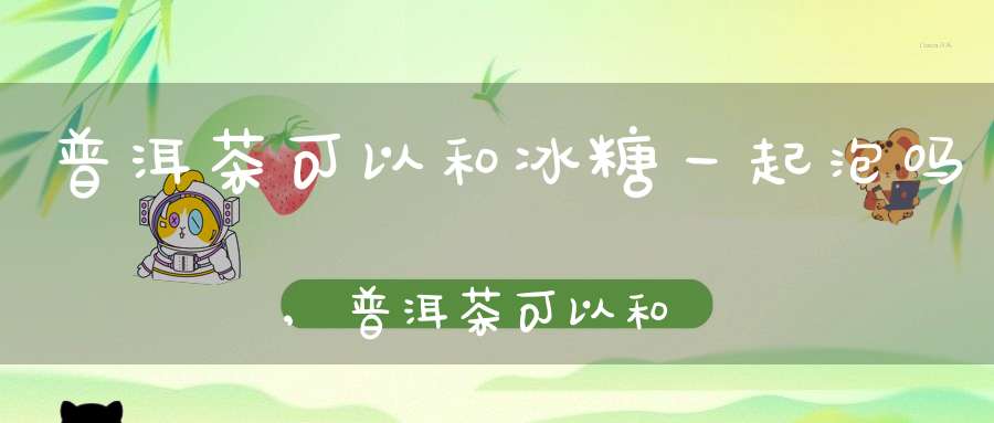 普洱茶可以和冰糖一起泡吗,普洱茶可以和冰糖一起泡水喝吗