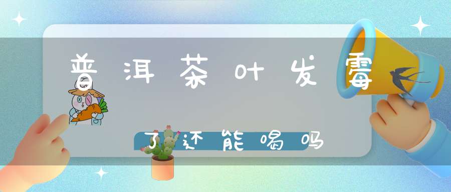 普洱茶叶发霉了还能喝吗