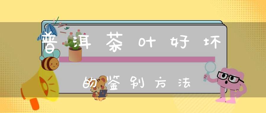 普洱茶叶好坏的鉴别方法