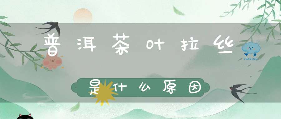 普洱茶叶拉丝是什么原因