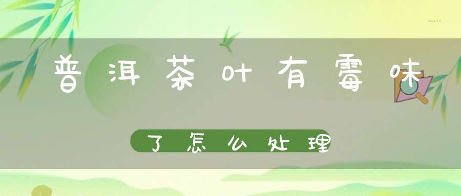 普洱茶叶有霉味了怎么处理