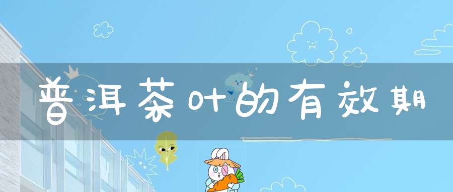 普洱茶叶的有效期
