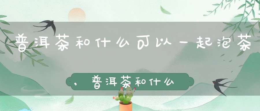 普洱茶和什么可以一起泡茶,普洱茶和什么可以一起泡水喝