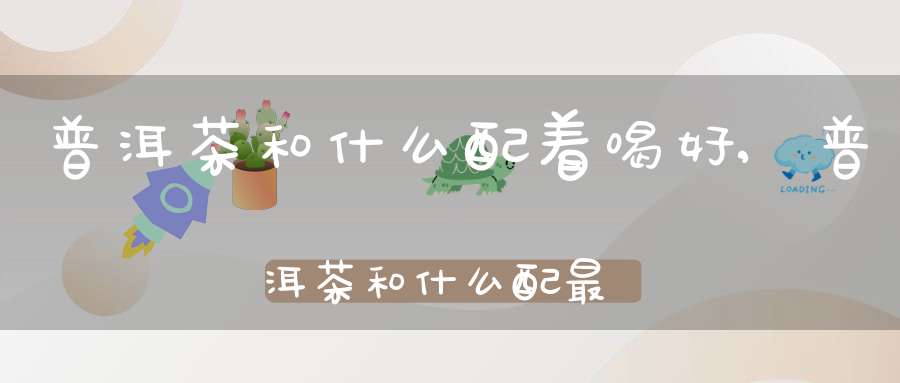 普洱茶和什么配着喝好,普洱茶和什么配最好